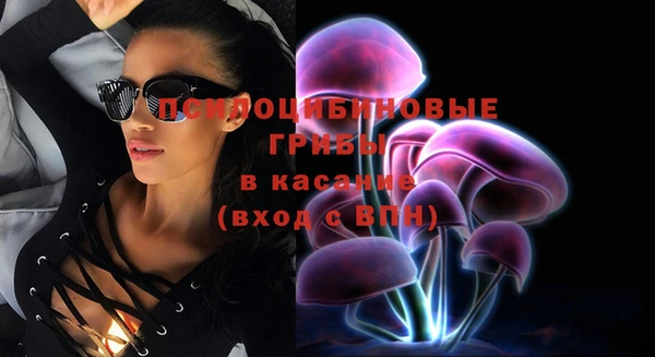 винт Абаза