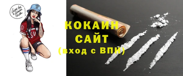 винт Абаза