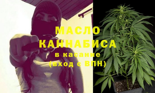 винт Абаза